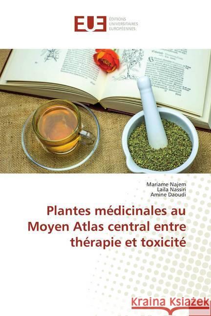 Plantes médicinales au Moyen Atlas central entre thérapie et toxicité Najem, Mariame; Nassiri, Laila; Daoudi, Amine 9786138493655 Éditions universitaires européennes - książka