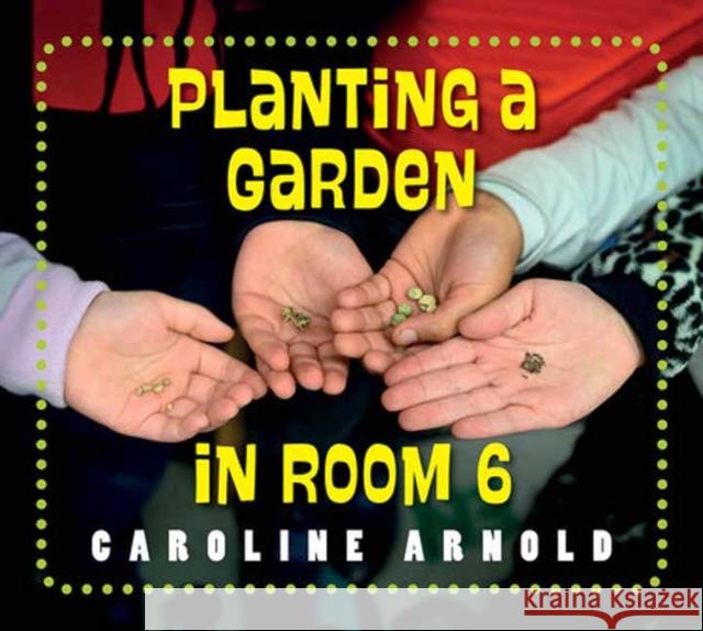 Planting a Garden in Room 6: From Seeds to Salad  9781623544300 Charlesbridge Publishing,U.S. - książka