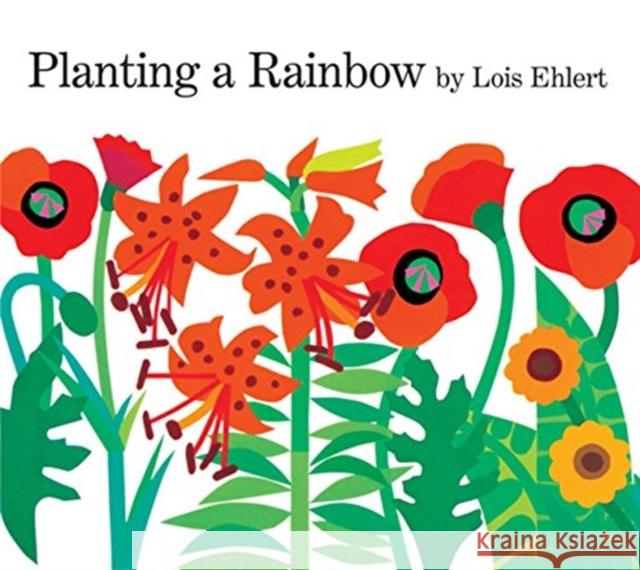 Planting a Rainbow Lap Board Book Ehlert, Lois 9780152063047 HarperCollins - książka