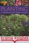 Planting for Visual Impact and Scent in Borders and Containers: A Complete Guide to Choosing and Using Annuals, Perennials, Shrubs, Bulbs and Decorative Foliage, with Practical Step-by-Step Sequences  Andrew Mikolajski 9781844762408 Anness Publishing