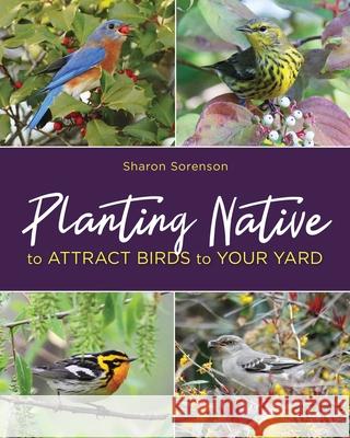 Planting Native to Attract Birds to Your Yard Sharon Sorenson 9780811737647 Stackpole Books - książka