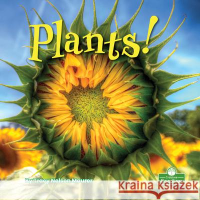 Plants! Tracy Nelson Maurer 9781039600409 Crabtree Seedlings - książka