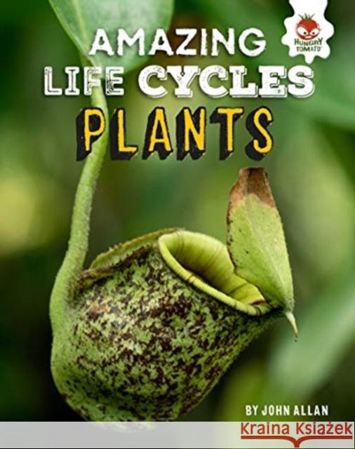 Plants - Amazing Life Cycles John Allan 9781913077006 Hungry Tomato Ltd - książka