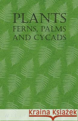 Plants - Ferns, Palms and Cycads William Watson 9781446523568 Read Books - książka