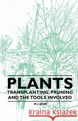 Plants - Transplanting, Pruning and the Tools Involved W. J. Bean 9781446524008 Read Books - książka