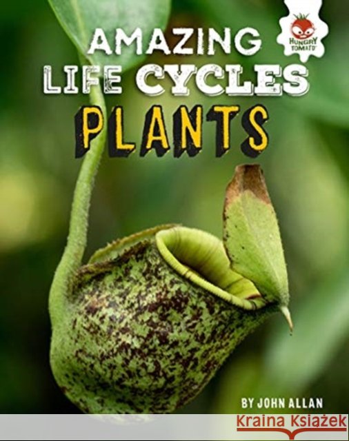 Plants - Amazing Life Cycles John Allan 9781913077006 Hungry Tomato Ltd - książka
