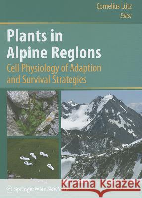Plants in Alpine Regions: Cell Physiology of Adaption and Survival Strategies  9783709101353 Springer, Wien - książka
