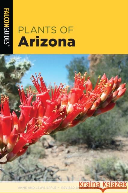 Plants of Arizona John Wiens Anne Orth Epple 9781493057931 Falcon Press Publishing - książka