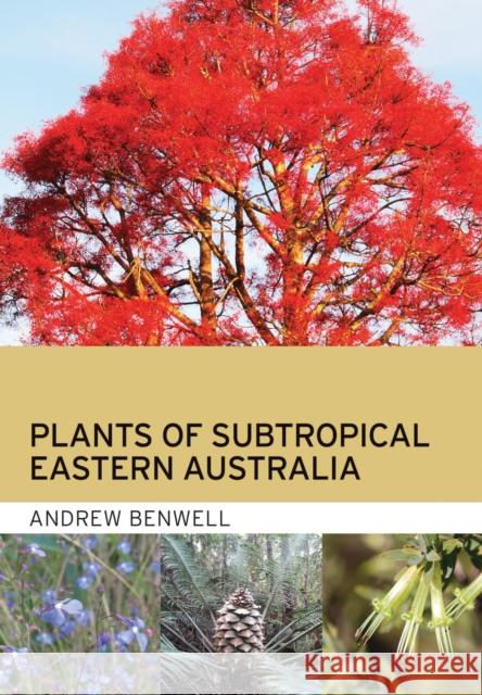 Plants of Subtropical Eastern Australia Andrew Benwell 9781486313655 CSIRO Publishing - książka