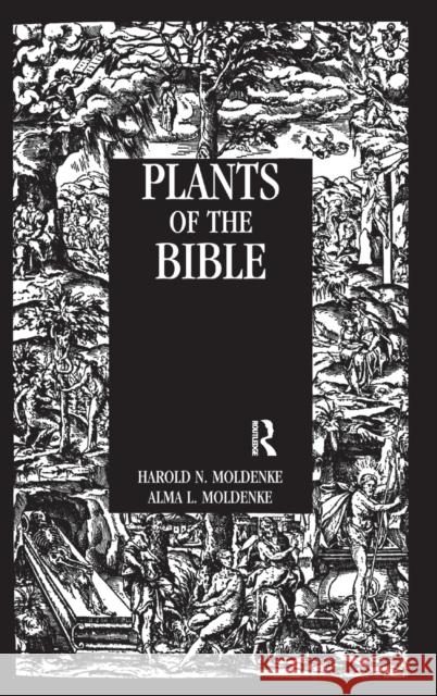 Plants Of The Bible Harold N. Moldenke Alma L. Moldenke 9780710307651 Kegan Paul International - książka