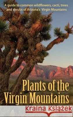 Plants of the Virgin Mountains Frank J. Smith Lee H. Rentz 9781951682446 Pathfinder Books - książka