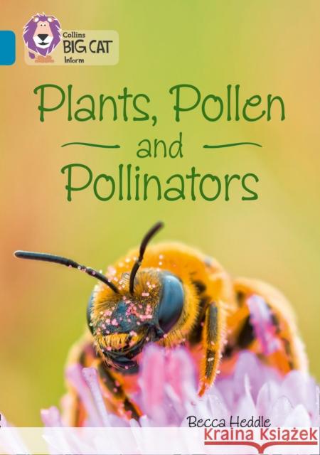 Plants, Pollen and Pollinators: Band 13/Topaz Heddle, Becca 9780008163853 Collins Big Cat - książka