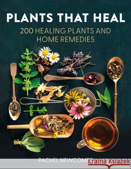 Plants That Heal: 200 Healing Plants and Home Remedies Rachel Newcombe 9780008737207 HarperCollins Publishers - książka