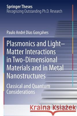 Plasmonics and Light-Matter Interactions in Two-Dimensional Materials and in Metal Nanostructures: Classical and Quantum Considerations Gon 9783030382933 Springer - książka