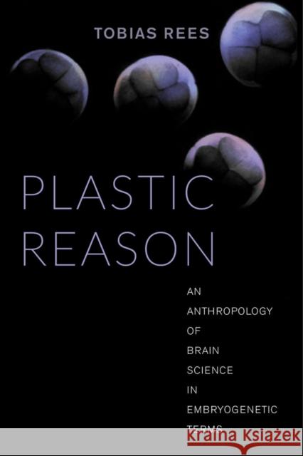 Plastic Reason: An Anthropology of Brain Science in Embryogenetic Terms Rees, Tobias 9780520288133 University of California Press - książka