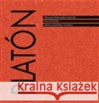 Platón. Mistr antického myšlení Thomas Alexander Szlezák 9788087054840 Herrmann & synové - książka