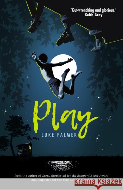 Play Luke Palmer 9781915444318 Firefly Press Ltd - książka