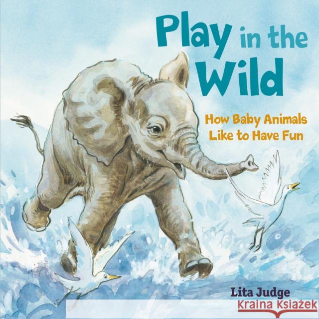 Play in the Wild: How Baby Animals Like to Have Fun Lita Judge 9781250237064 Roaring Brook Press - książka