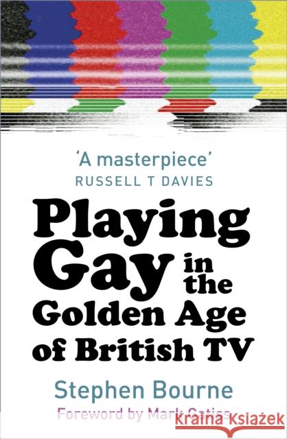 Playing Gay in the Golden Age of British TV Stephen Bourne Mark Gatiss Russell T. Davies 9780750990134 The History Press Ltd - książka