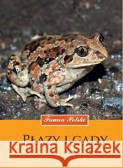 Płazy i gady. Fauna Polski Krzysztof Klimaszewski 9788377636930 Multico - książka