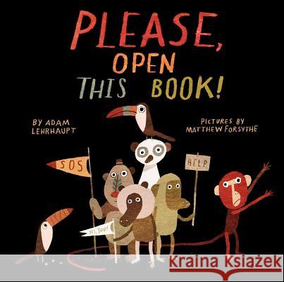 Please, Open This Book! Adam Lehrhaupt, Matthew Forsythe 9781442450714 Simon & Schuster - książka