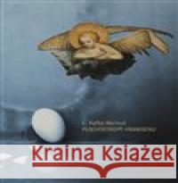 Plochostropý hranostaj Luboš Kafka 9788088236214 LIKA KLUB - książka