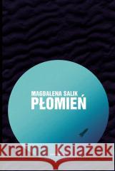 Płomień Magdalena Salik 9788366178564 Powergraph - książka