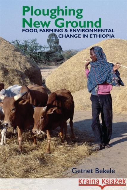 Ploughing New Ground: Food, Farming & Environmental Change in Ethiopia Getnet Bekele 9781847011749 James Currey - książka