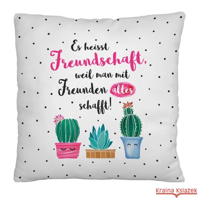 Plüschkissen Motiv Freund  4036018481803 sheepworld - książka