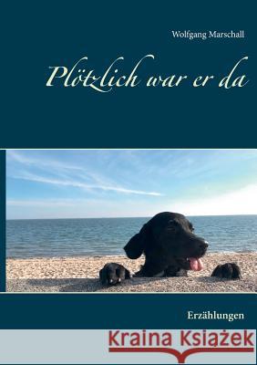 Plötzlich war er da: Erzählungen Wolfgang Marschall 9783743178380 Books on Demand - książka