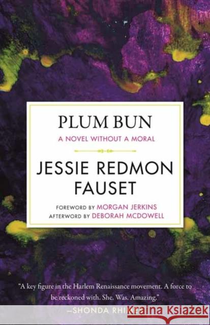 Plum Bun: A Novel Without a Moral Fauset, Jessie Redmon 9780807006603 Beacon Press - książka