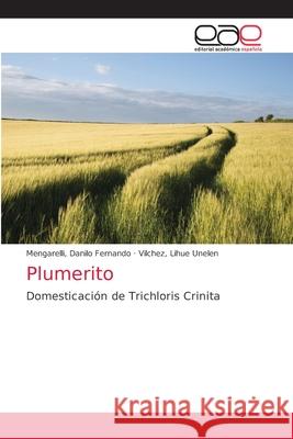 Plumerito Mengarelli Danil Vilchez Lihu 9786203039207 Editorial Academica Espanola - książka