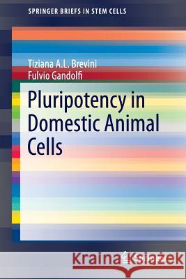 Pluripotency in Domestic Animal Cells Tiziana A. L. Brevini Fulvio Gandolfi 9781489980526 Springer - książka