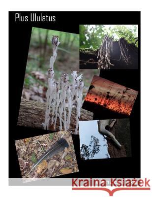 Plus Ululatus William Joseph Tickhill 9781537027920 Createspace Independent Publishing Platform - książka