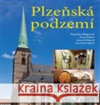 Plzeňská podzemní Pavel Stelzer 9788072114474 Nava - książka