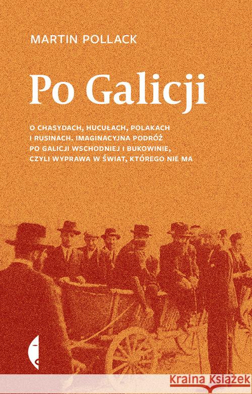 Po Galicji. O chasydach, Hucułach, Polakach i ... Pollack Martin 9788380495609 Czarne - książka