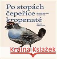 Po stopách čepeřice kropenaté: blogy (nejen) o češtině Milan Hrdlička 9788026112563  - książka