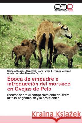 Época de empadre e introducción del morueco en Ovejas de Pelo González Reyna Gastón Alejandro 9783844347913 Editorial Academica Espanola - książka