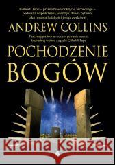 Pochodzenie bogów Andrew Collins 9788324182879 Amber - książka