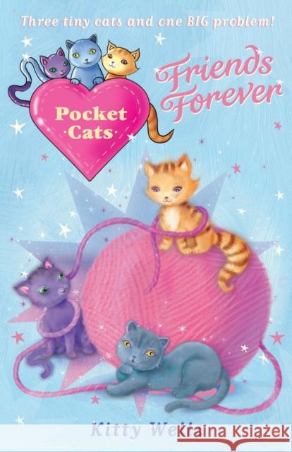 Pocket Cats: Friends Forever Kitty Wells 9781849920339  - książka