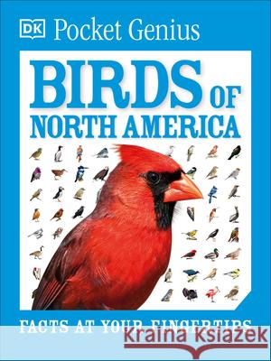 Pocket Genius Birds of North America DK 9780744058086 DK Publishing (Dorling Kindersley) - książka