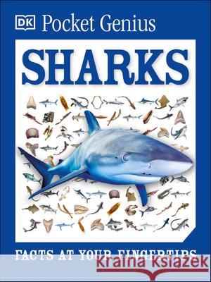 Pocket Genius: Sharks: Facts at Your Fingertips DK 9781465445926 DK Publishing (Dorling Kindersley) - książka