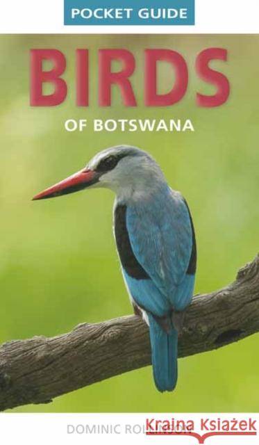 Pocket Guide Birds of Botswana Dominic Rollinson 9781775848813 Penguin Random House South Africa - książka