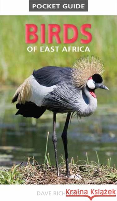 Pocket Guide to Birds of East Africa Dave Richards 9781775843610 Penguin Random House South Africa - książka