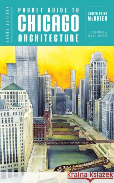 Pocket Guide to Chicago Architecture Judith Paine McBrien John F. DeSalvo 9780393733938 W. W. Norton & Company - książka