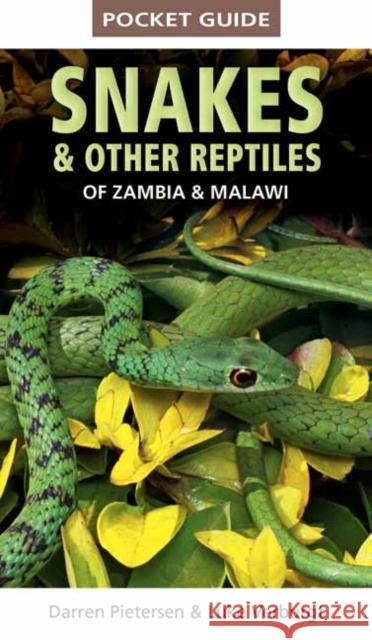 Pocket Guide to Snakes & Other Reptiles of Zambia and Malawi Luke Verburgt 9781775847168 Penguin Random House South Africa - książka
