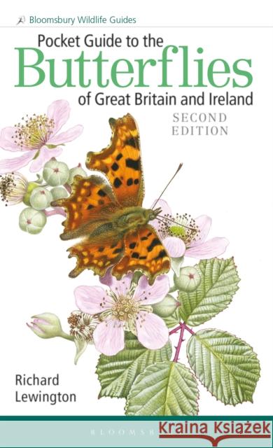 Pocket Guide to the Butterflies of Great Britain and Ireland Richard Lewington, Richard Lewington 9781472967176 Bloomsbury Publishing PLC - książka