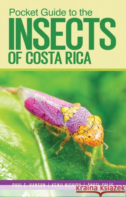 Pocket Guide to the Insects of Costa Rica Paul E. Hanson Kenji Nishida  9781501760976 Comstock Publishing - książka