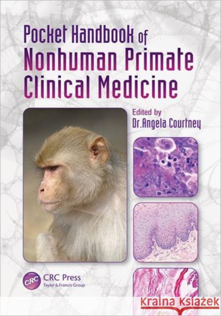 Pocket Handbook of Nonhuman Primate Clinical Medicine Angela Courtney 9781439867280 CRC Press - książka