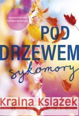 Pod drzewem sykomory B. Celeste 9788324098576 JednymSłowem - książka